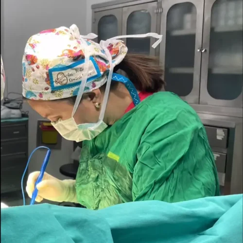 Ekran Resmi 2024-06-06 23.01.51