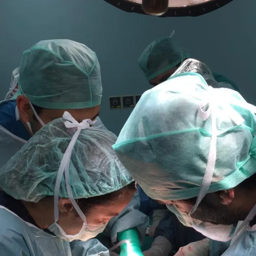 doc.dr.ozgekomurcukaruserci_1543618709_1924335664667471114_37591246